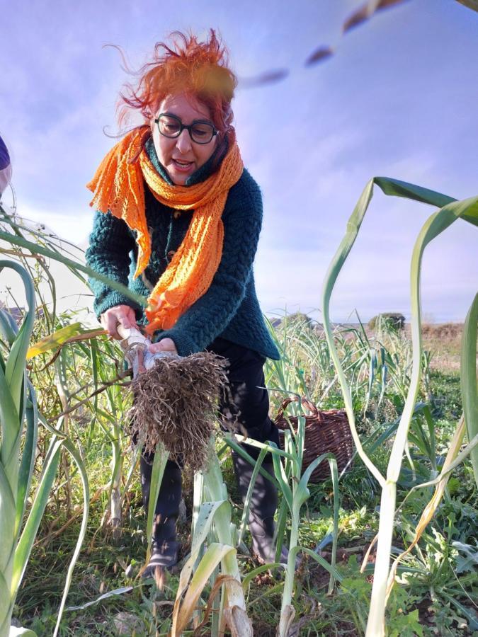 Turismo Rural La Ojinegra Alloza Εξωτερικό φωτογραφία